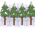 Winter Forest