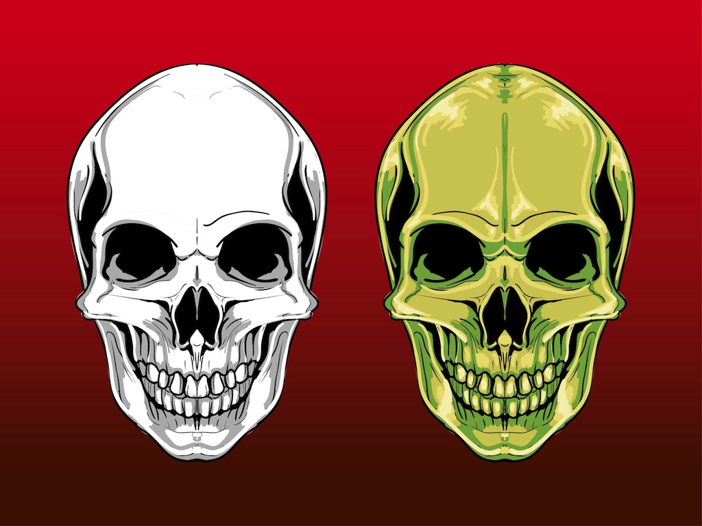 Scary Skull Graphics