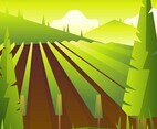 Vineyard Scenery First Person