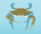 Vector Crab
