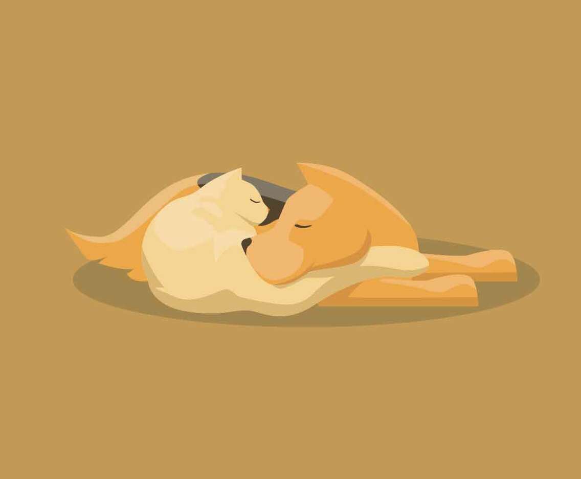 Unlikely Animal Pairs Vector Illustration