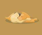 Unlikely Animal Pairs Vector Illustration