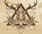 Deer Skull