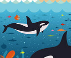 Killer Whales