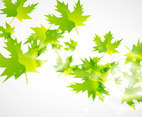 Green Leaf Vector Background