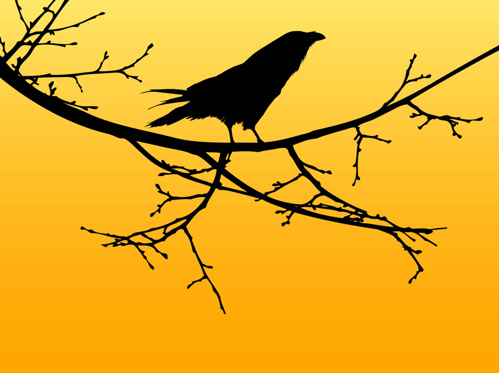 Vector Crow