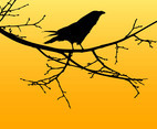 Vector Crow