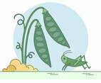 Cricket Vector
