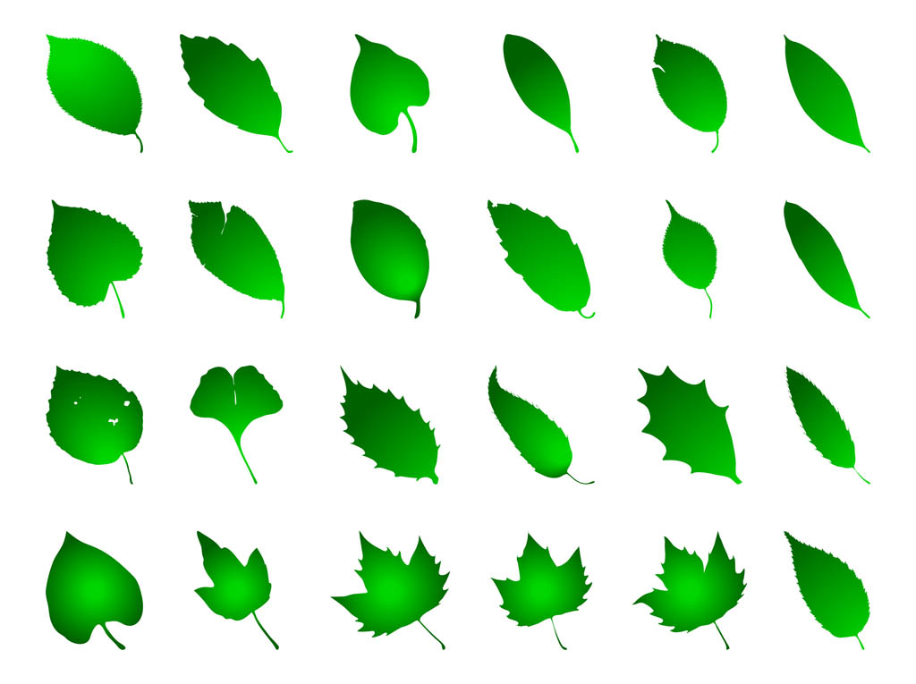 Green Leaves Graphics Set