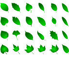 Green Leaves Graphics Set