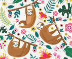 sloth