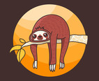 Sloth Illustration