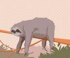 Sleeping Sloth