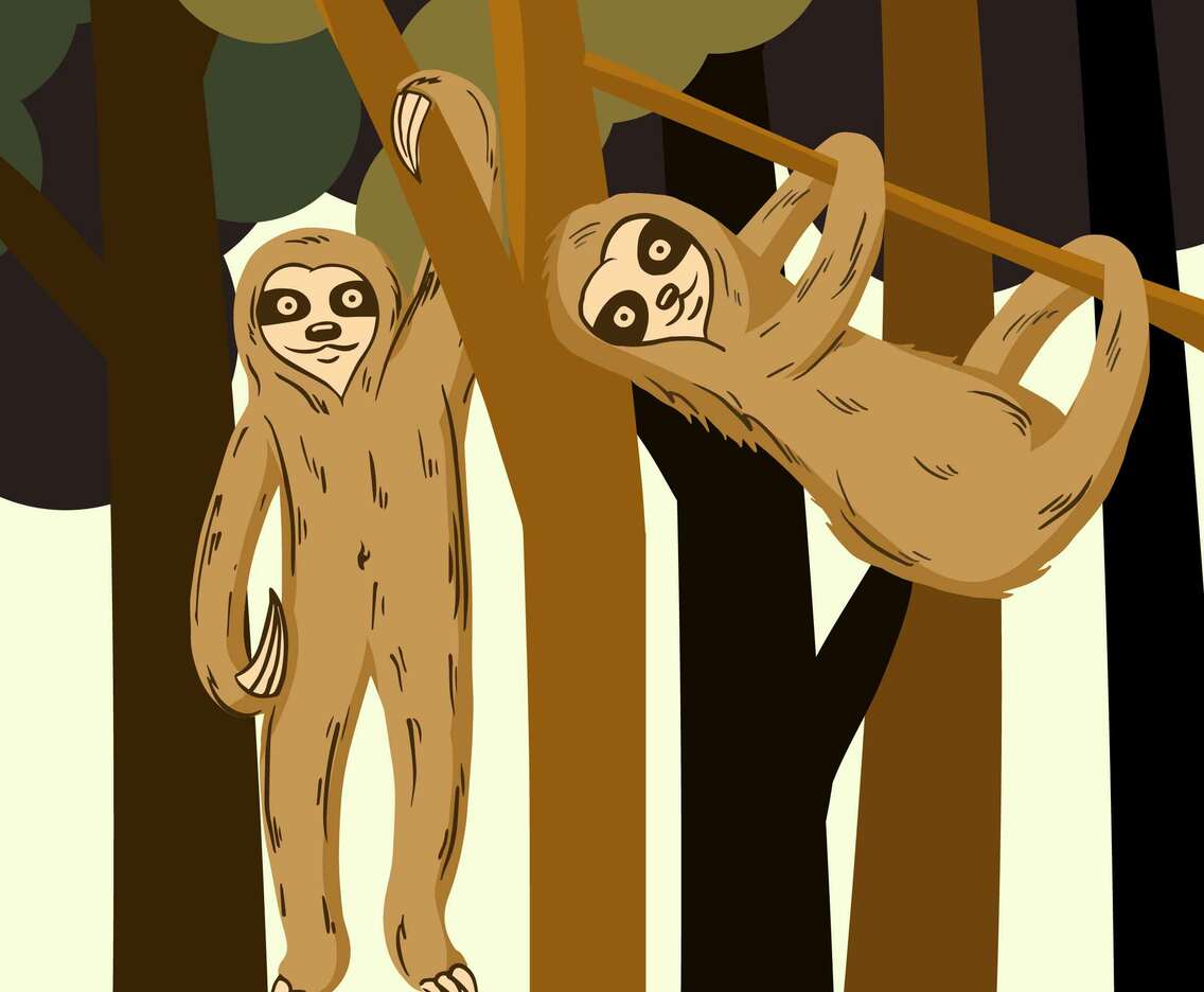 Sloth