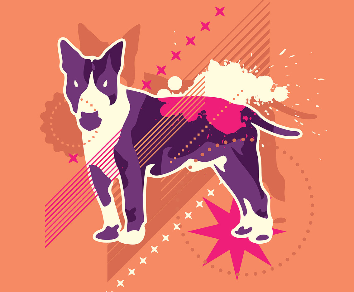 abstract dog