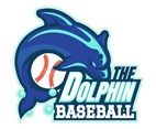 Baseball 10
