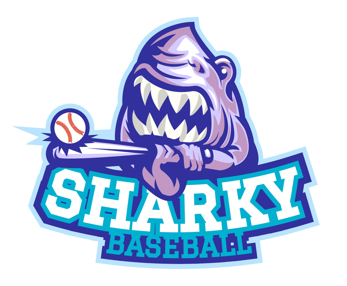 Baseball 1