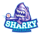 Baseball 1