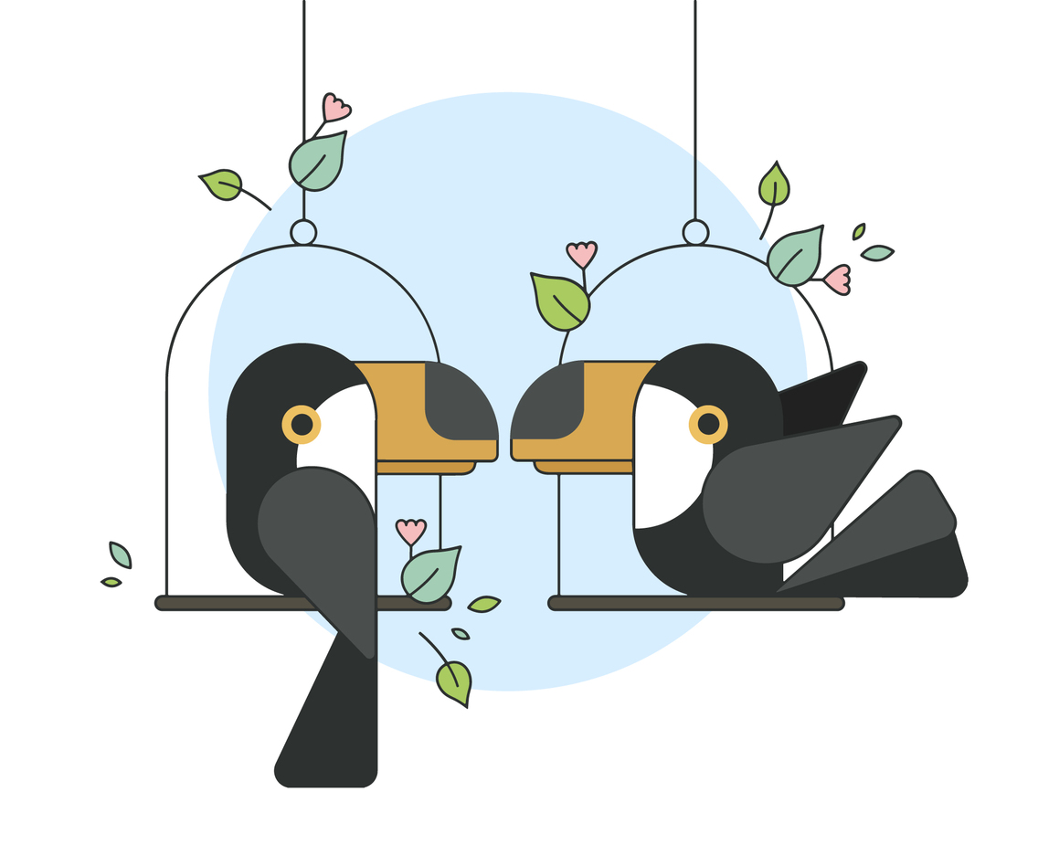 Toucan Vector