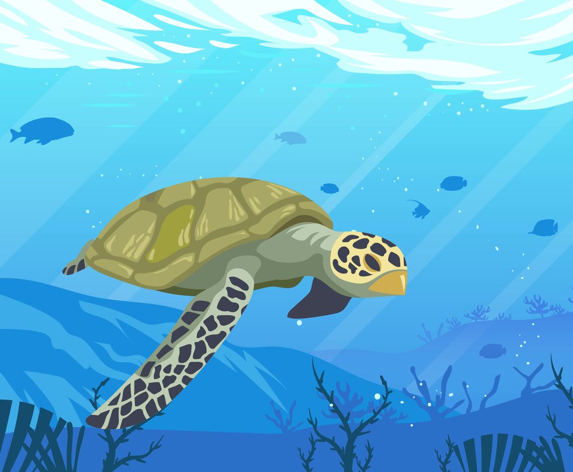 Turtles