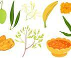 Ugadi Vectors
