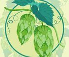 Hop Plant Illustration