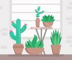 Succulents Vectors