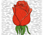 Vector Hand Drawn Flower Illustration