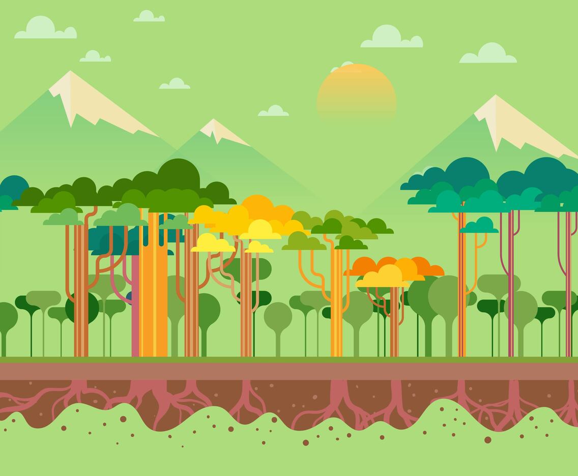 Abstract Forest