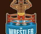 mexican wrestler 1