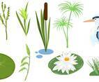 Marsh Vectors