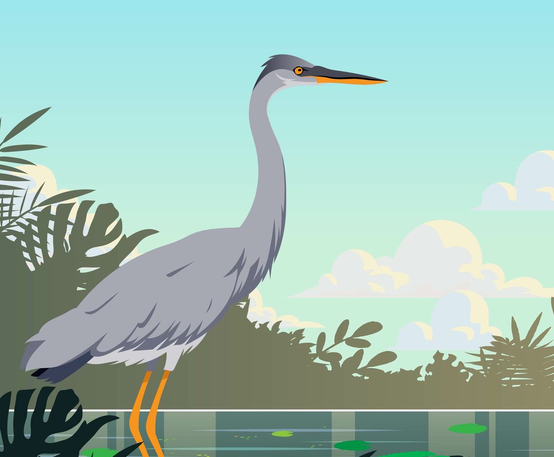 Marsh Bird