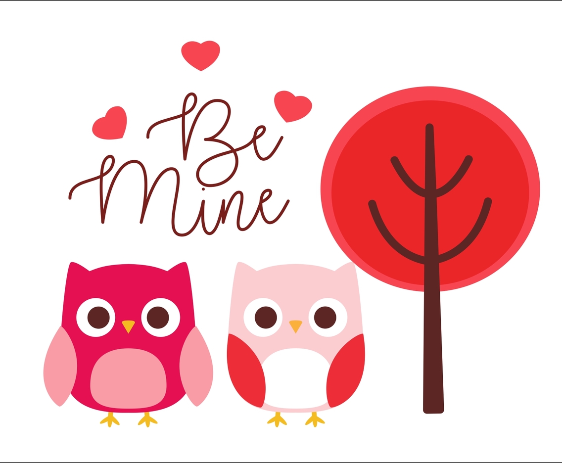 Cute Owl