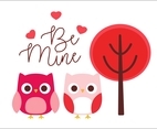 Cute Owl