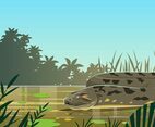 Anaconda