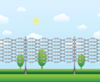 Razor Wire Landscape