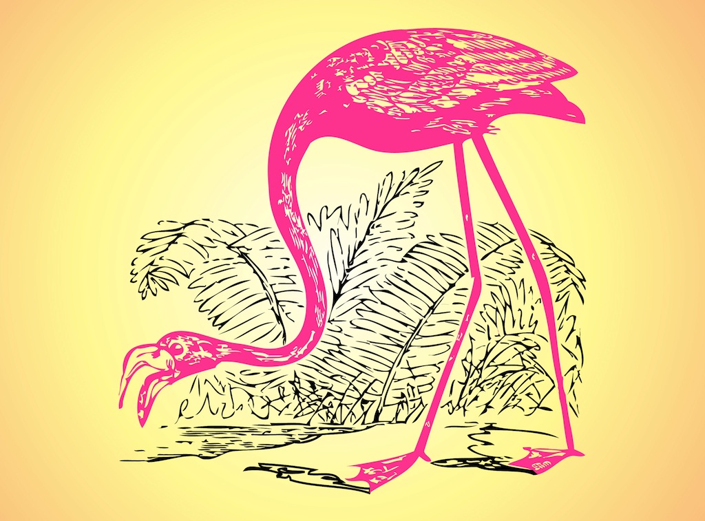 Flamingo Sketch