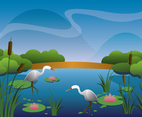Beautiful Marsh