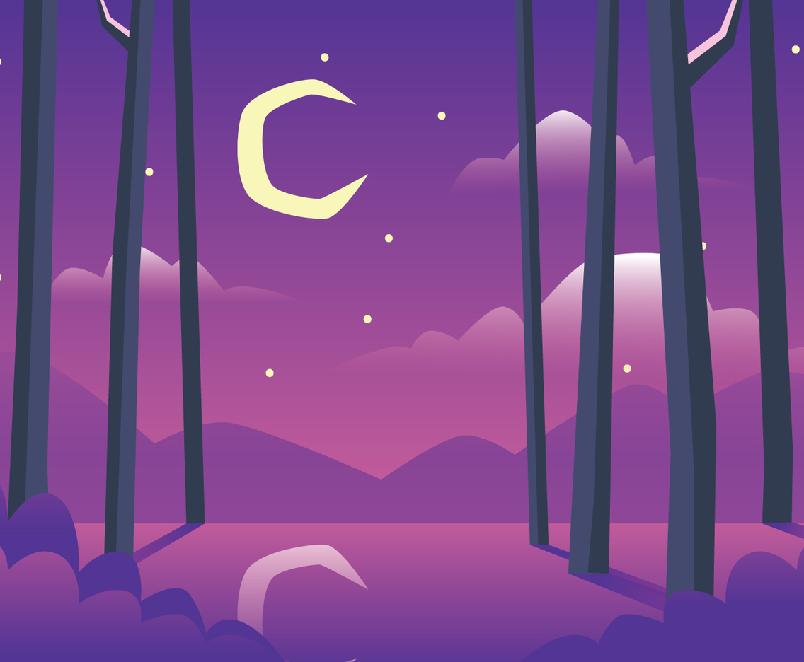 Bayou Illustration At Night