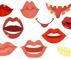 Free Boca Vectors