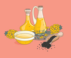 Canola Vector