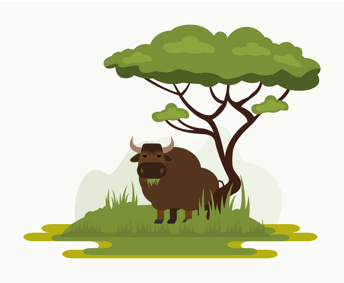 Cartoon Yak