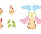 Free Outstanding Sinus Vectors