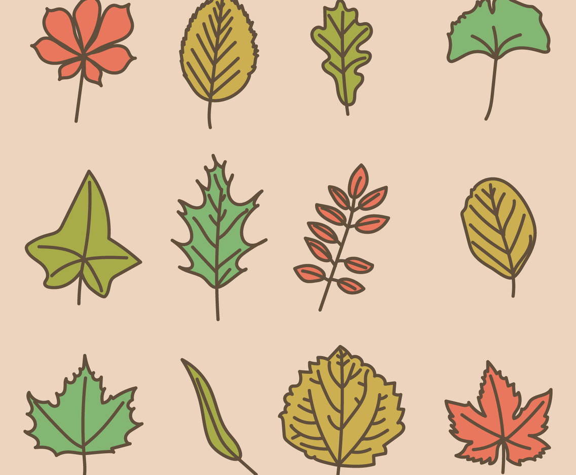 Autumn Leaves