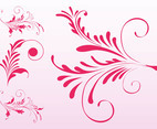 Pink Floral Scrolls