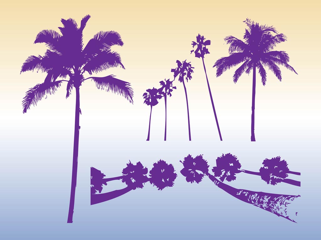 Palm Trees Silhouettes