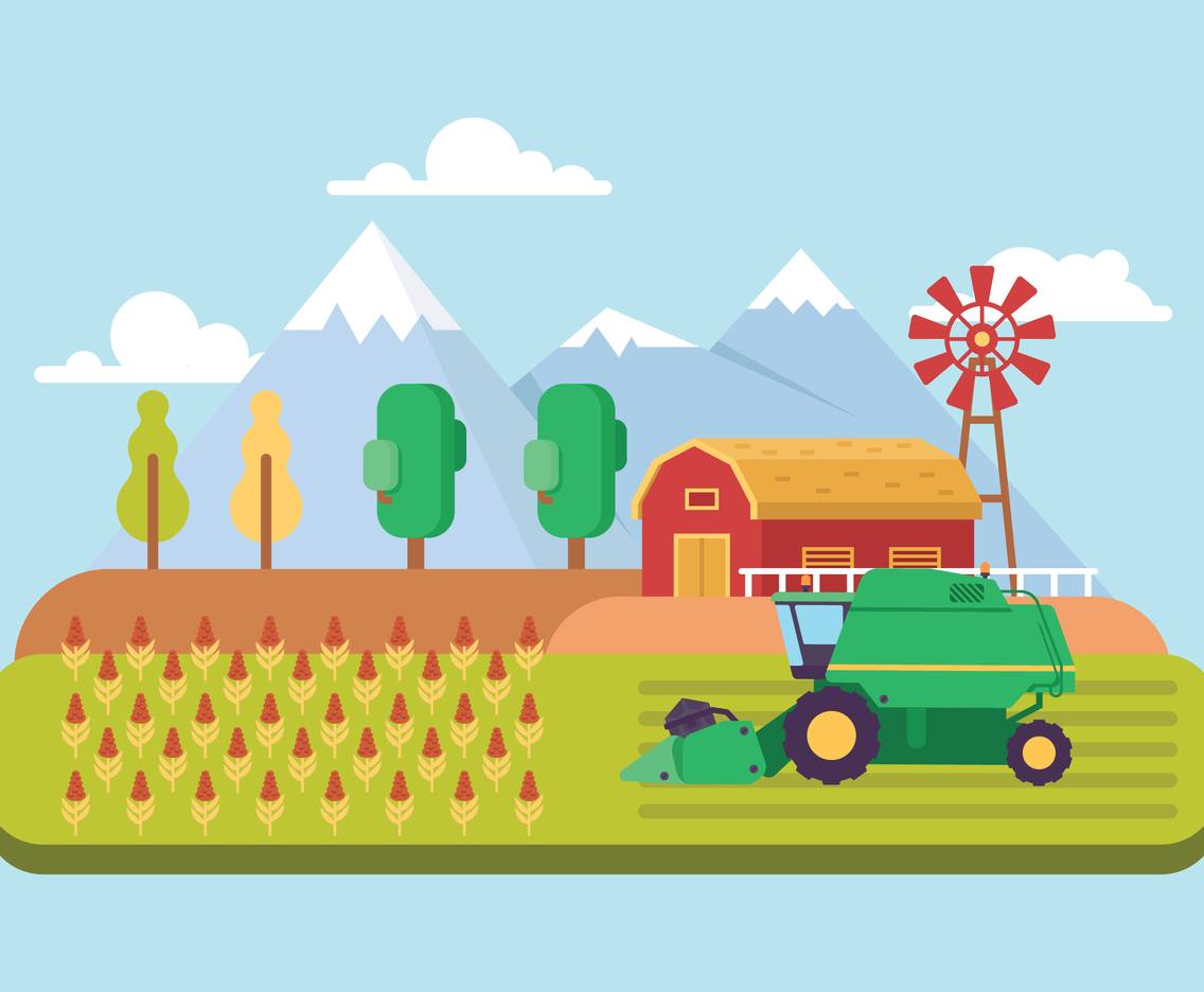 Sorghum Harvester