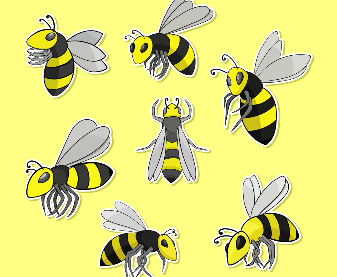Hornets Vector