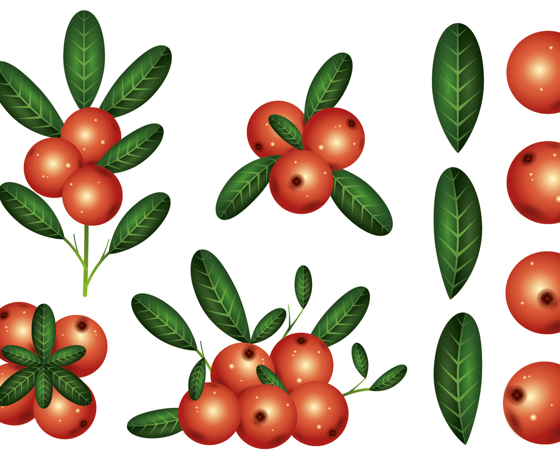 Cranberries