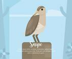 Snipe Illustration